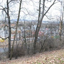 Bäume, die für die S21-Tunnelmund-Logistik zw. U14 und Rosensteinhang weg müssen