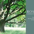 001-Rosenstein Teaser 750 neu