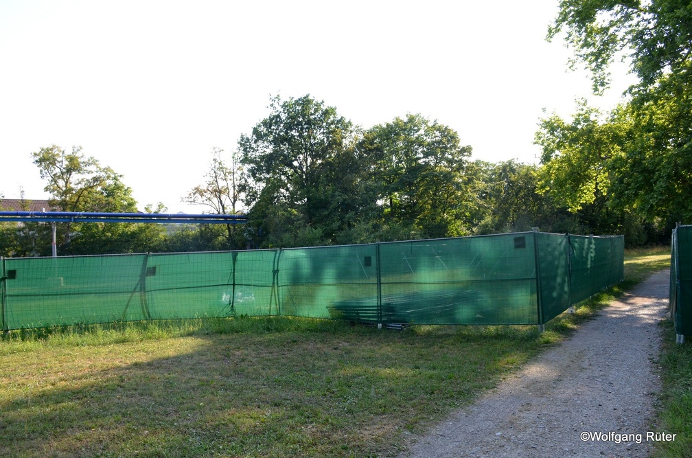 10-DSC 8379