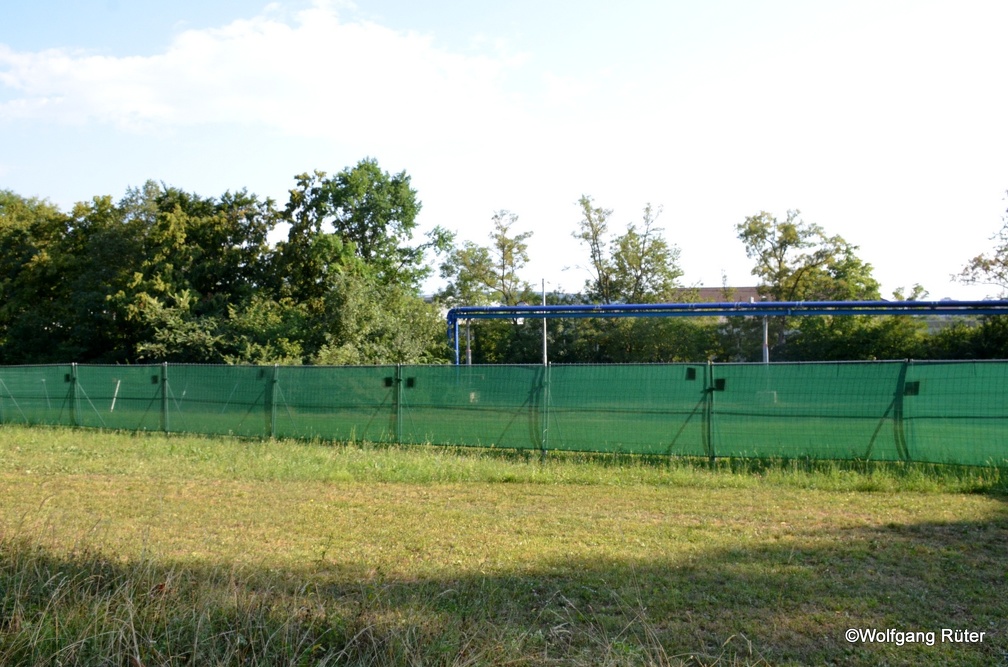 11-DSC 8380