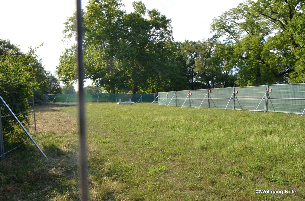 12-DSC 8381
