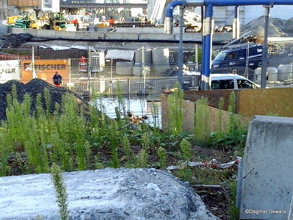 11-Foto0026