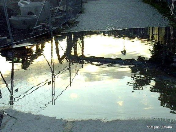03-Foto0018