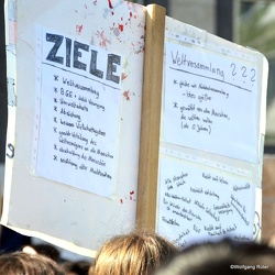 Zum 17. Mal sind die Stuttgarter Fridays-for-Future-Aktivist*innen auf die Straße gegangen